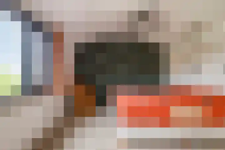 Rijnlaan 225 Helmond thumbnail 30