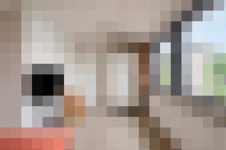Rijnlaan 225 Helmond thumbnail 31