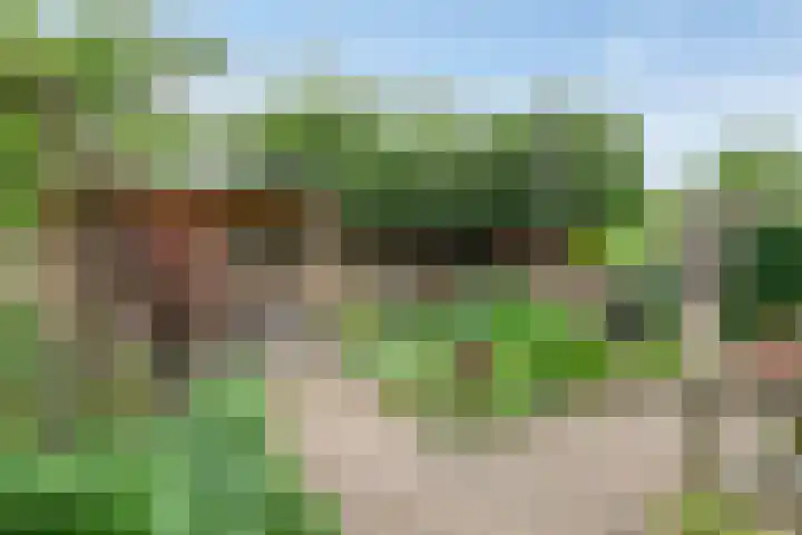 Rijnlaan 225 Helmond thumbnail 32