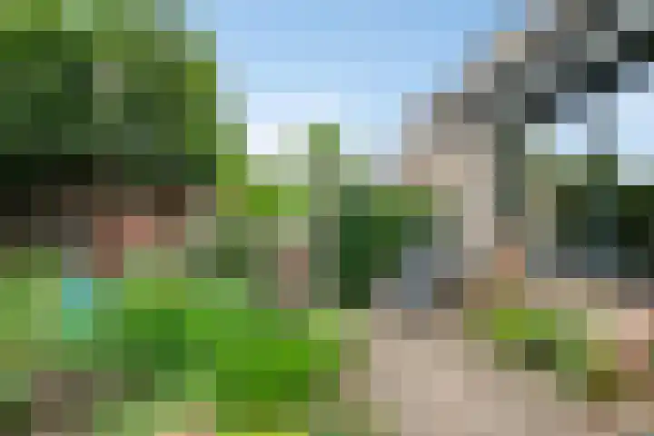 Rijnlaan 225 Helmond thumbnail 34