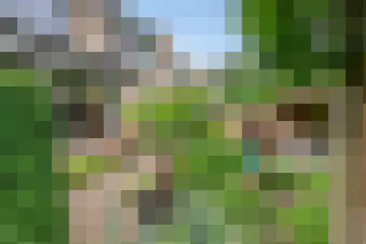 Rijnlaan 225 Helmond thumbnail 35