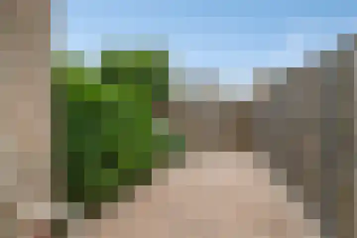 Rijnlaan 225 Helmond thumbnail 36