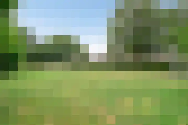 Rijnlaan 225 Helmond thumbnail 38