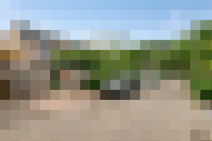 Rijnlaan 225 Helmond thumbnail 5