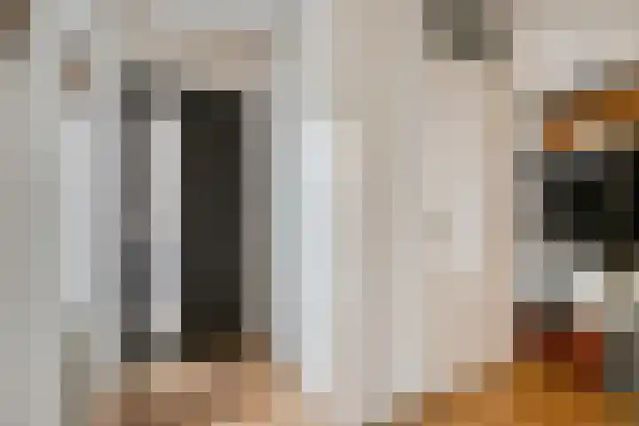 Rijnlaan 225 Helmond thumbnail 7
