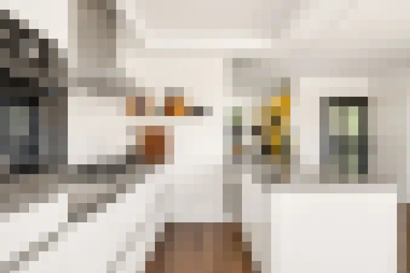 Rijnlaan 232 Zwolle thumbnail 13