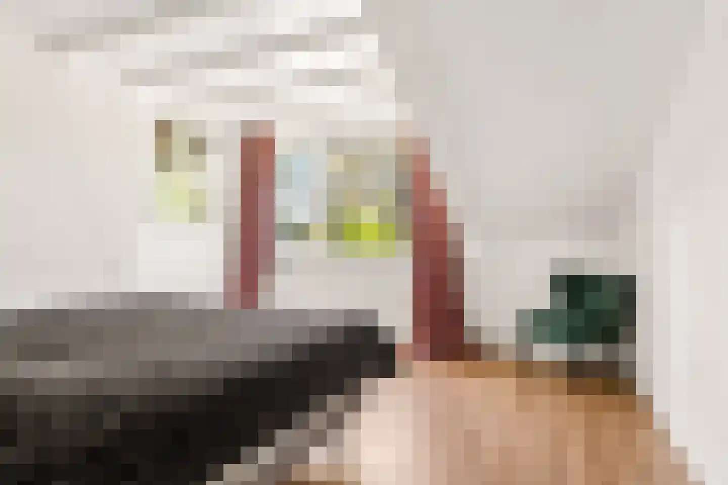 Rijnlaan 232 Zwolle thumbnail 16