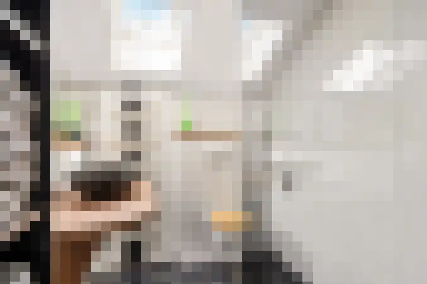 Rijnlaan 232 Zwolle thumbnail 21