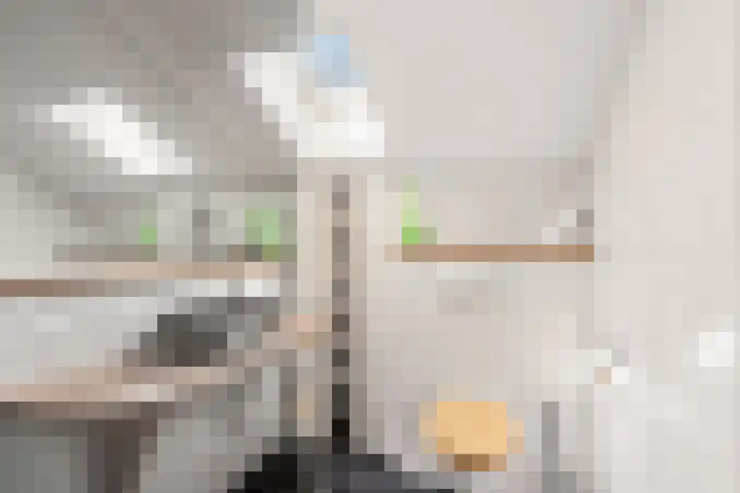 Rijnlaan 232 Zwolle thumbnail 22