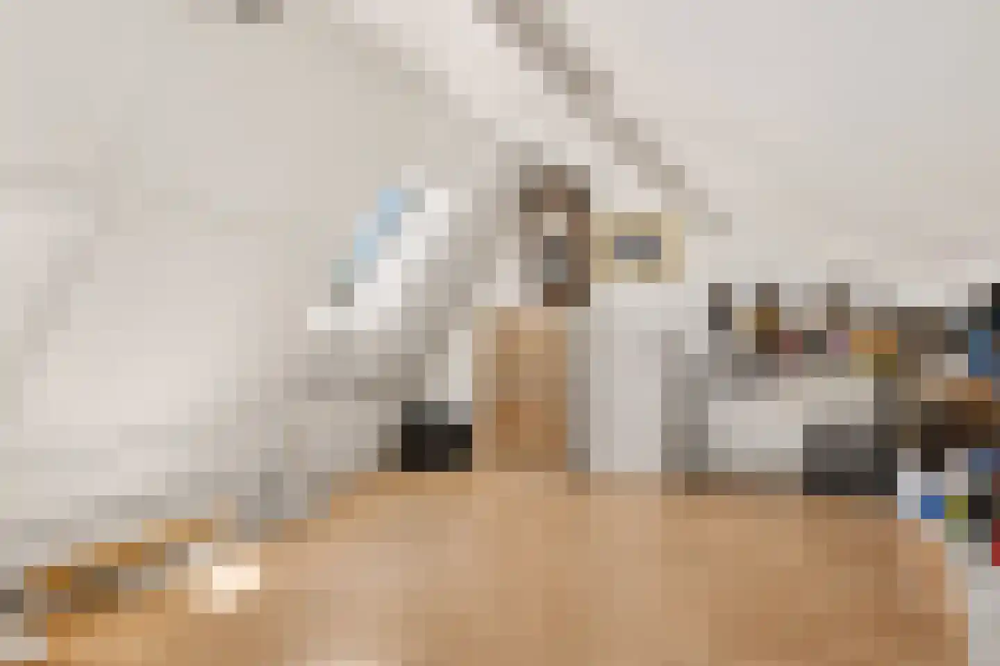 Rijnlaan 232 Zwolle thumbnail 24