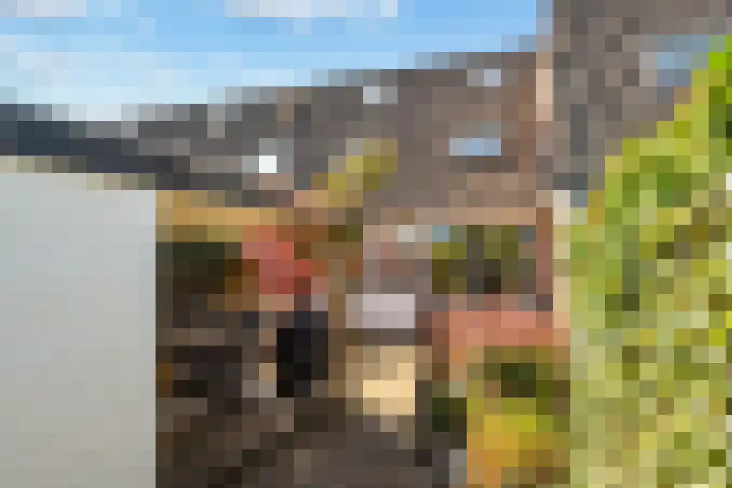 Rijnlaan 232 Zwolle thumbnail 26