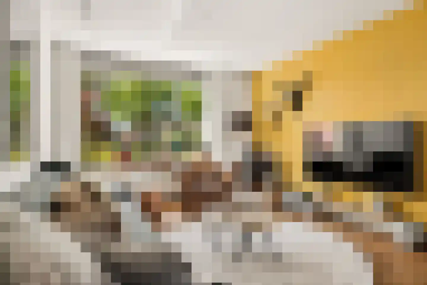 Rijnlaan 232 Zwolle thumbnail 7