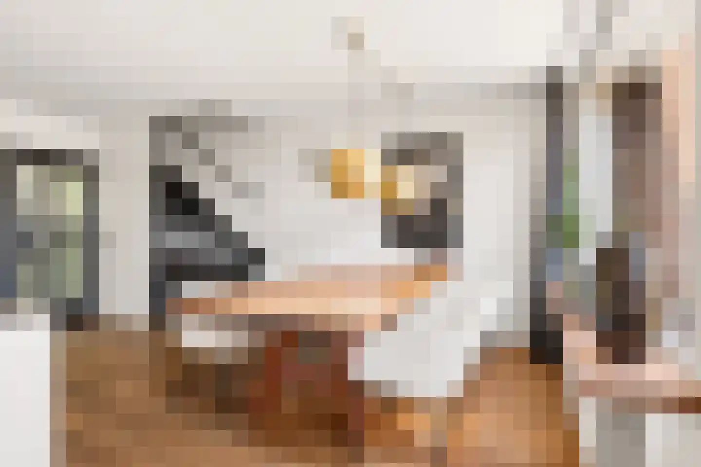 Rijnlaan 232 Zwolle thumbnail 9