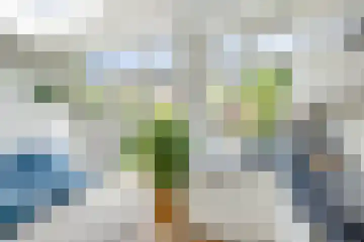 Rijnlaan 234 Utrecht thumbnail 10