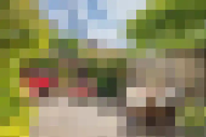 Rijnlaan 234 Utrecht thumbnail 14