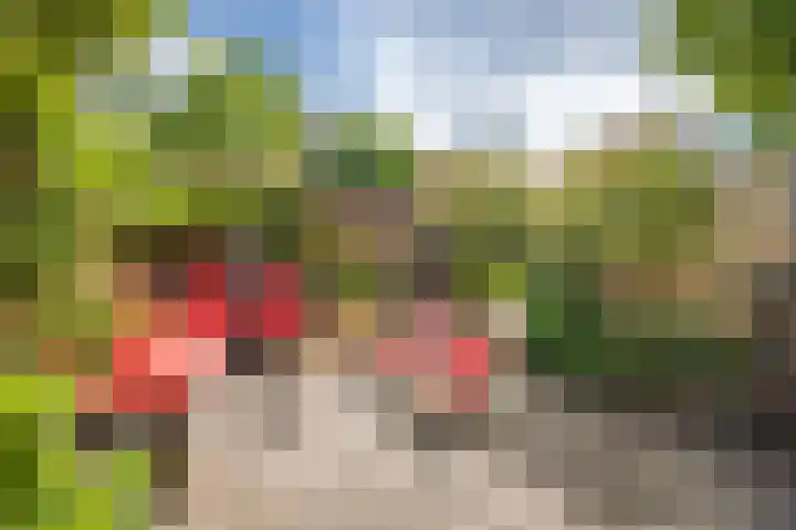 Rijnlaan 234 Utrecht thumbnail 15