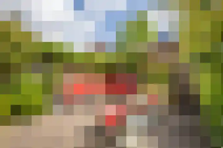 Rijnlaan 234 Utrecht thumbnail 16