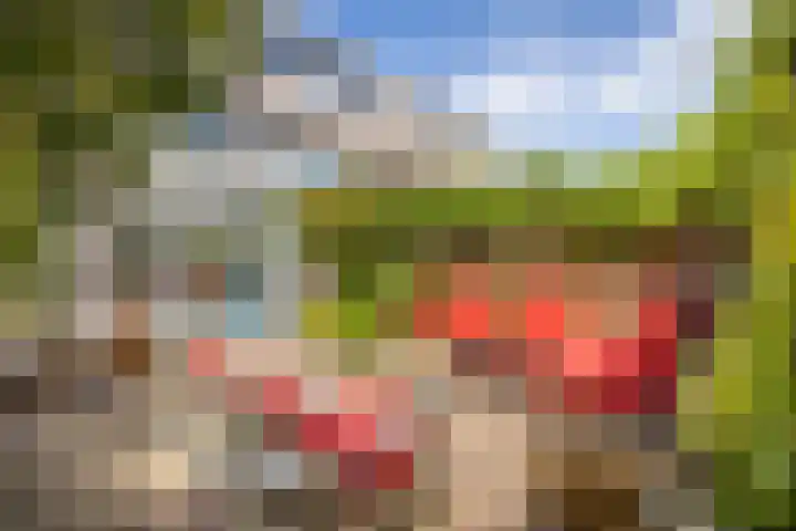 Rijnlaan 234 Utrecht thumbnail 17