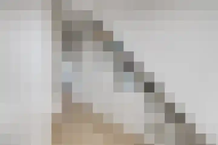 Rijnlaan 234 Utrecht thumbnail 34