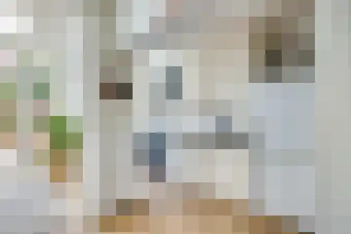 Rijnlaan 234 Utrecht thumbnail 9