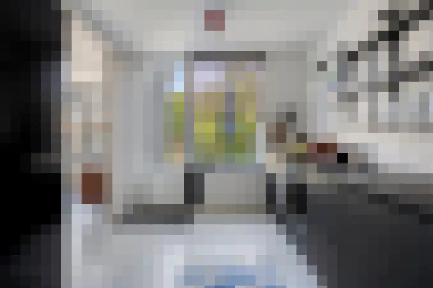 Rijnlaan 239 Helmond thumbnail 4