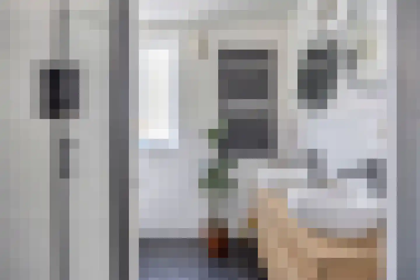 Rijnlaan 239 Helmond thumbnail 5