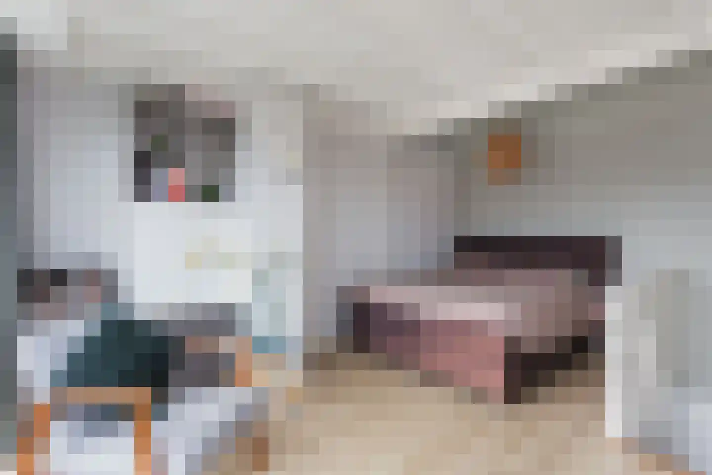 Rijnlaan 254 Utrecht thumbnail 10