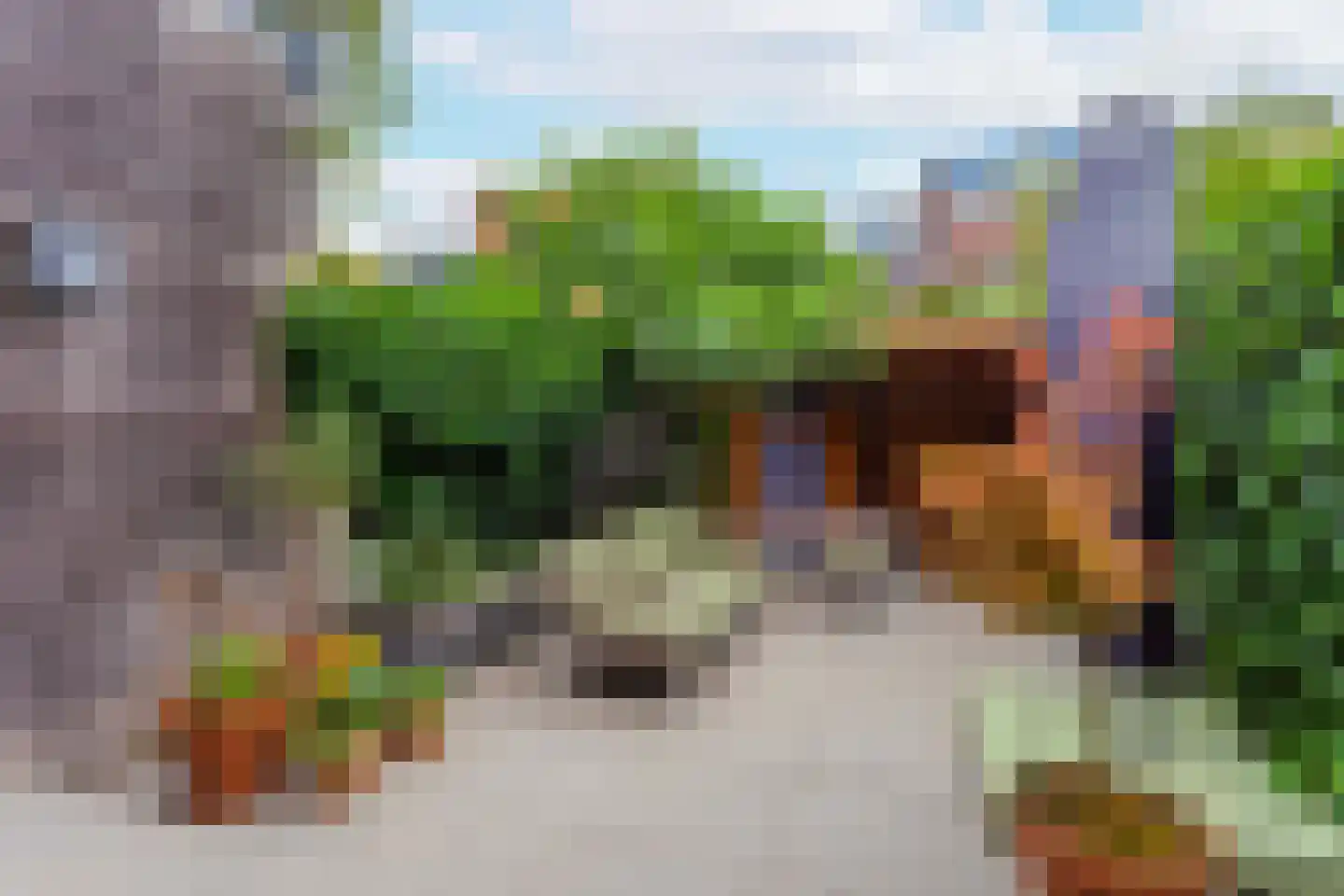 Rijnlaan 254 Utrecht thumbnail 30