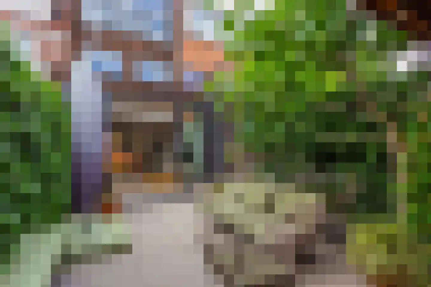Rijnlaan 254 Utrecht thumbnail 33