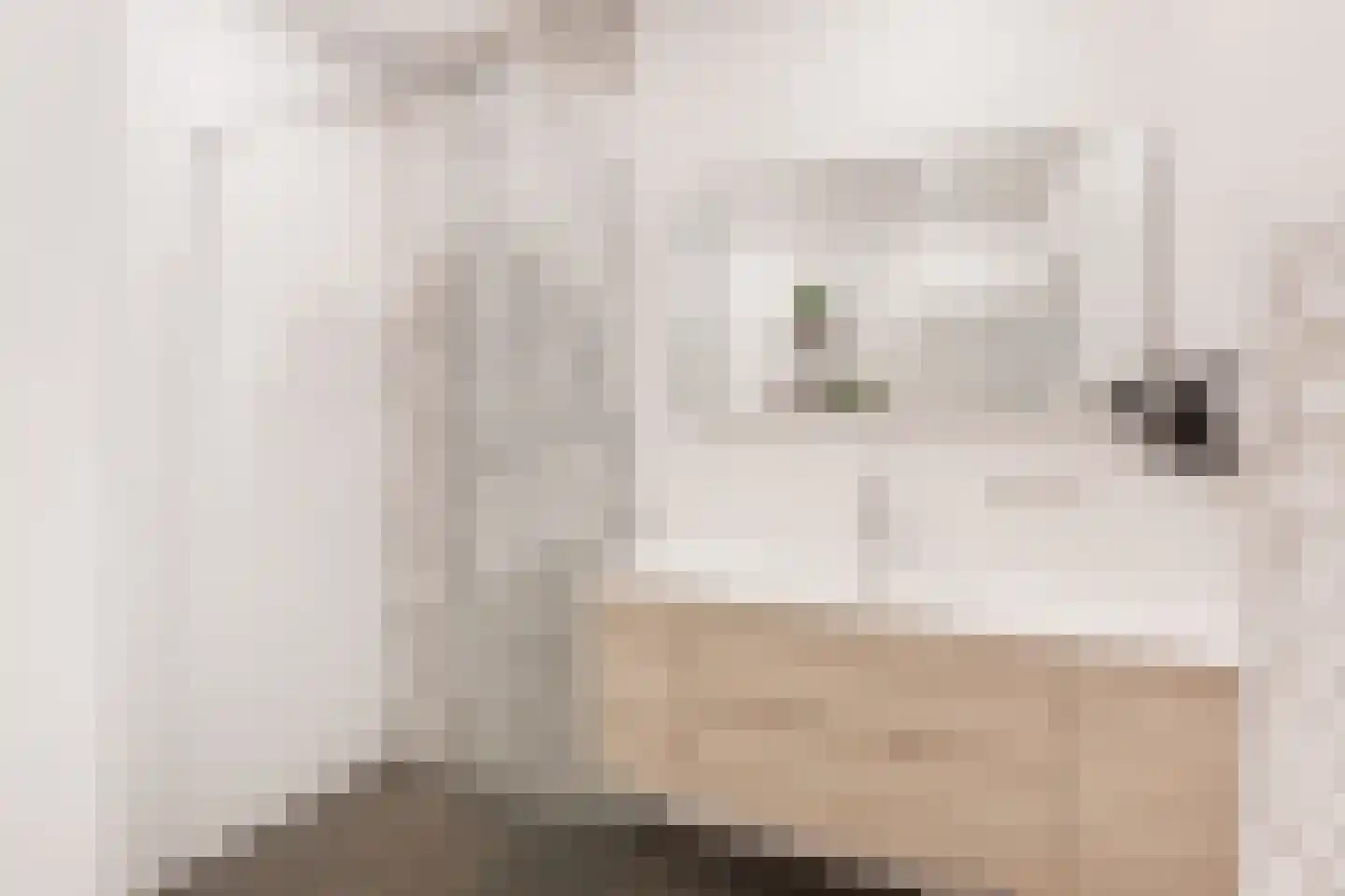 Rijnlaan 254 Utrecht thumbnail 34