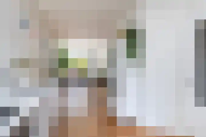 Rijnlaan 256 Utrecht thumbnail 15