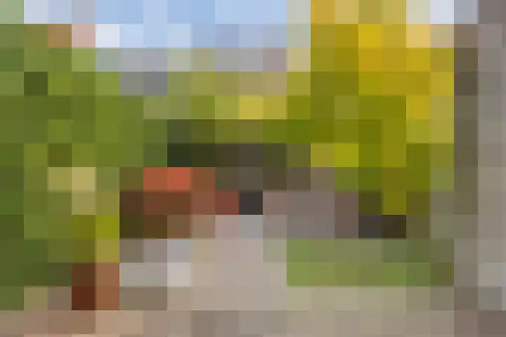 Rijnlaan 256 Utrecht thumbnail 19