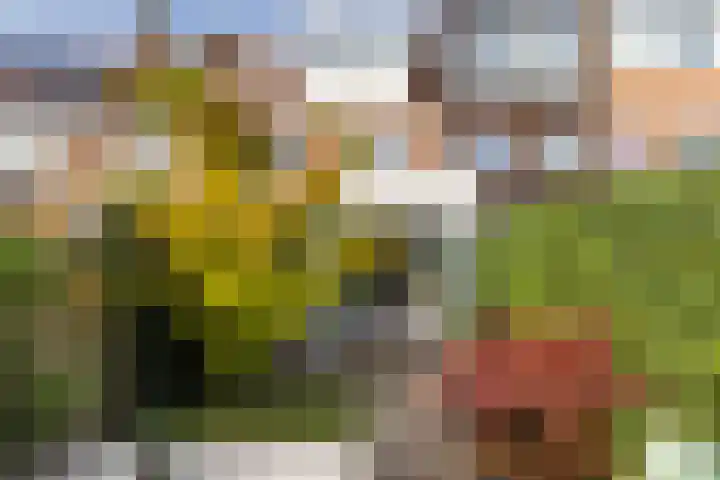 Rijnlaan 256 Utrecht thumbnail 21