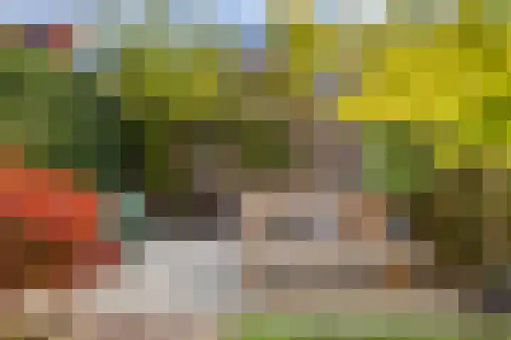 Rijnlaan 256 Utrecht thumbnail 22
