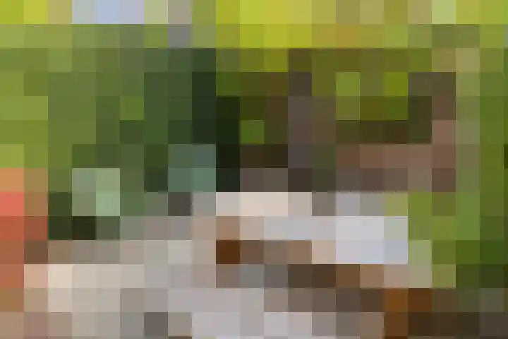 Rijnlaan 256 Utrecht thumbnail 23