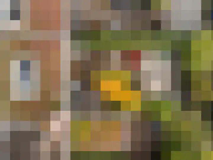 Rijnlaan 256 Utrecht thumbnail 24