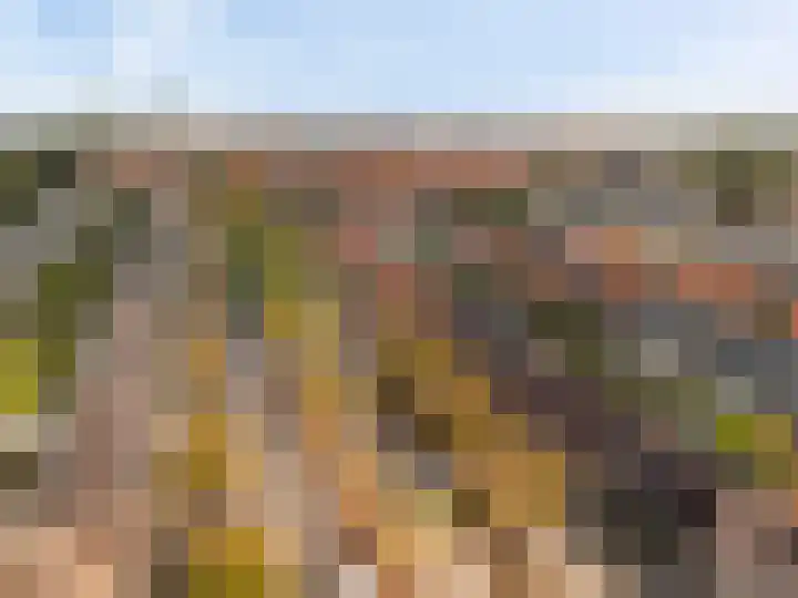 Rijnlaan 256 Utrecht thumbnail 38