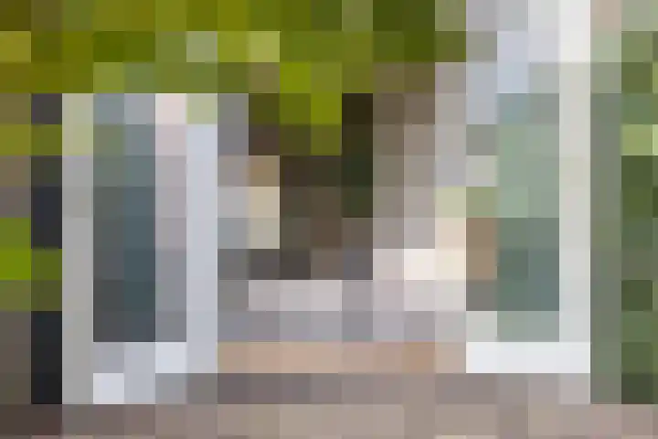 Rijnlaan 256 Utrecht thumbnail 4