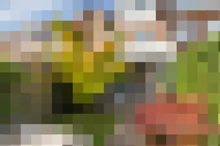 Rijnlaan 256 Utrecht thumbnail 5