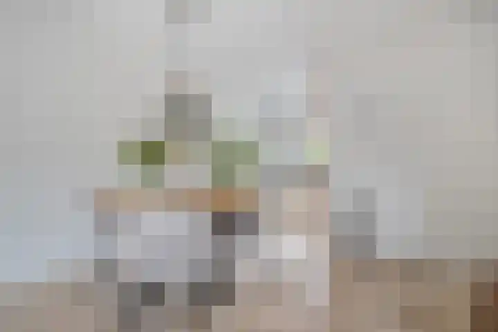 Rijnlaan 259 Zwolle thumbnail 11
