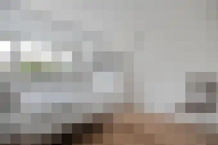 Rijnlaan 259 Zwolle thumbnail 17