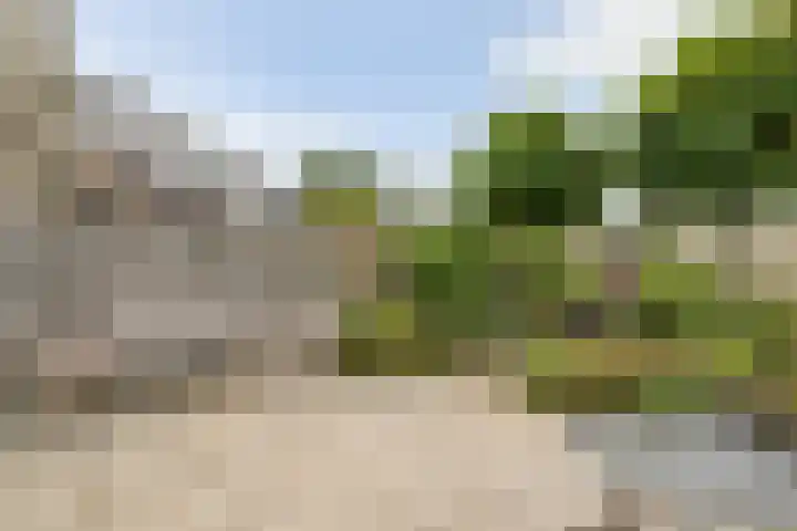 Rijnlaan 259 Zwolle thumbnail 27