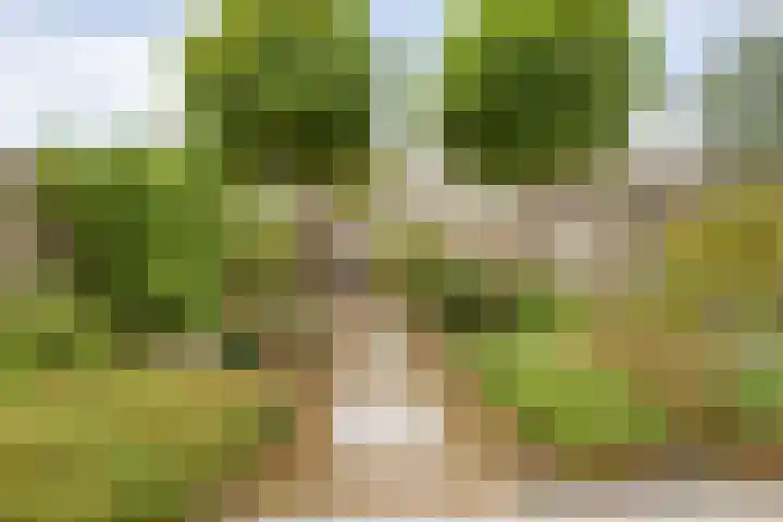 Rijnlaan 259 Zwolle thumbnail 28