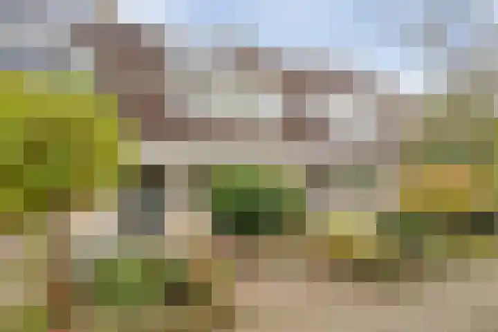 Rijnlaan 259 Zwolle thumbnail 33