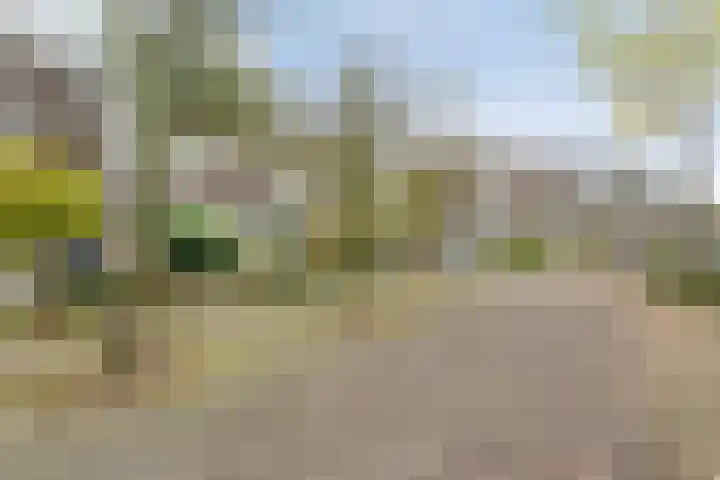 Rijnlaan 259 Zwolle thumbnail 34