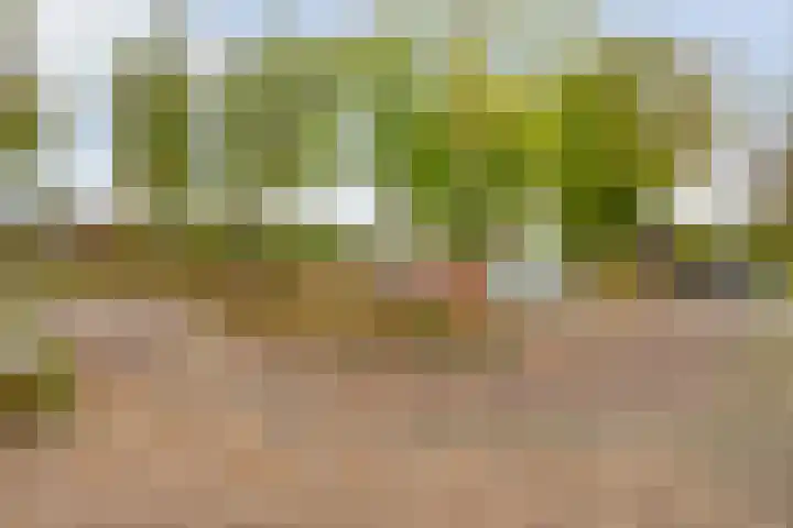 Rijnlaan 259 Zwolle thumbnail 35