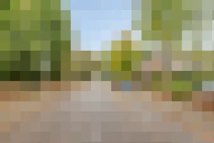 Rijnlaan 259 Zwolle thumbnail 36