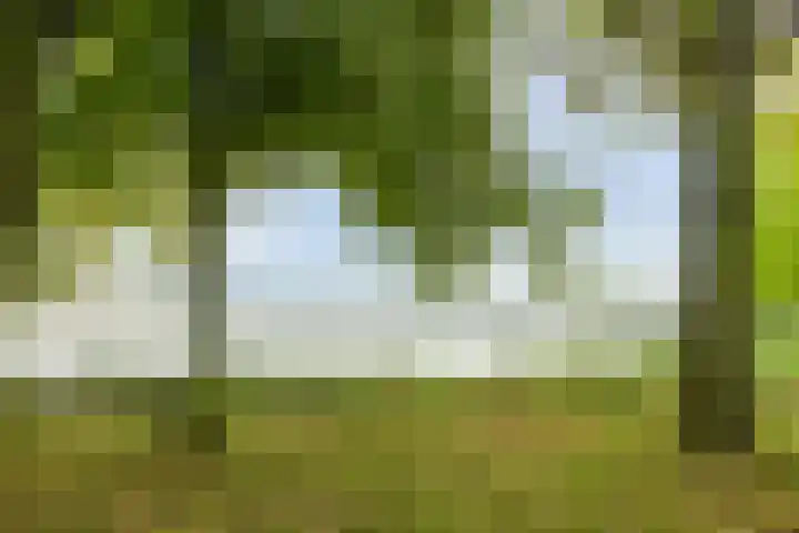 Rijnlaan 259 Zwolle thumbnail 37