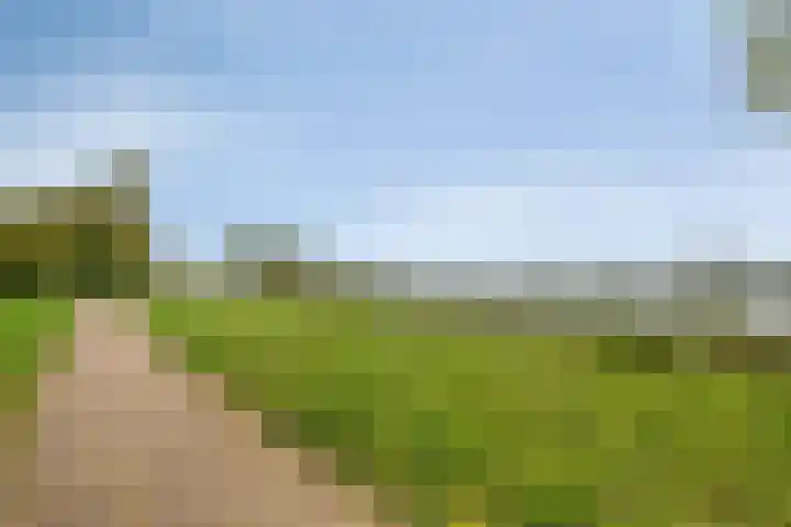 Rijnlaan 259 Zwolle thumbnail 38
