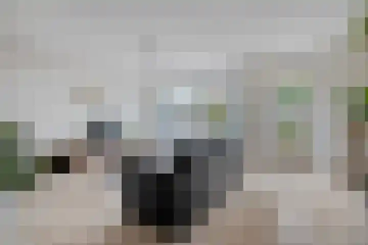 Rijnlaan 259 Zwolle thumbnail 5